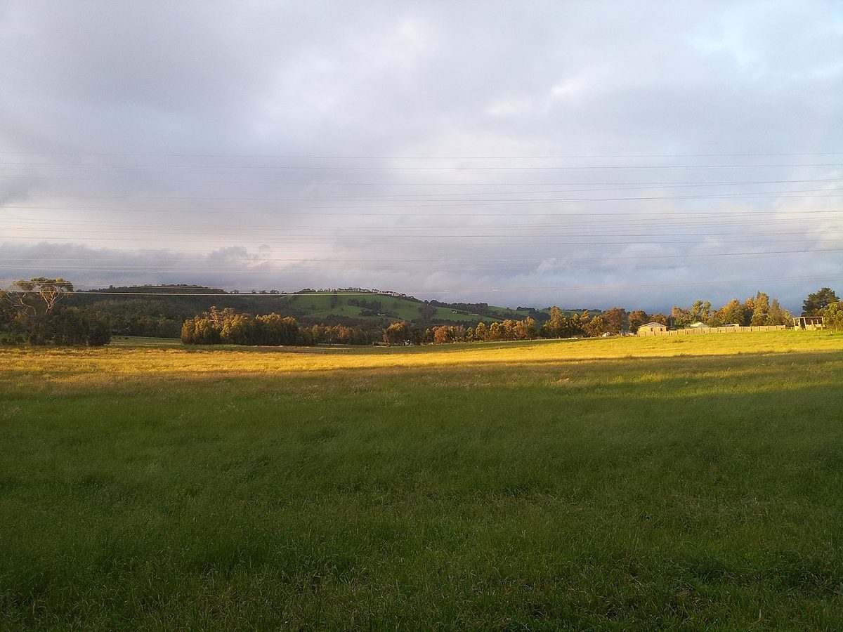 Green and gold paddocks near Pakenham
