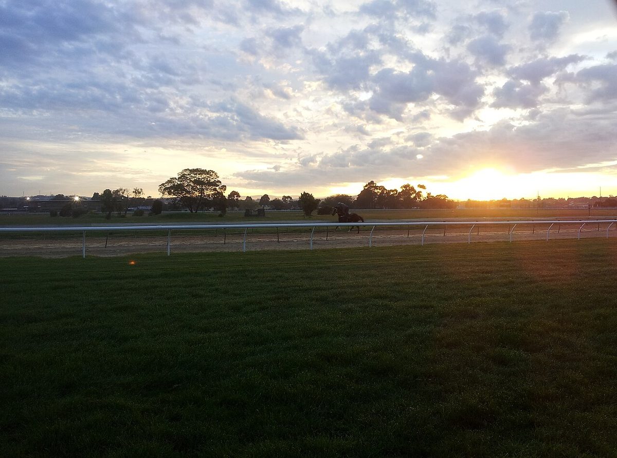 Dawn over Pakenham Racecourse
