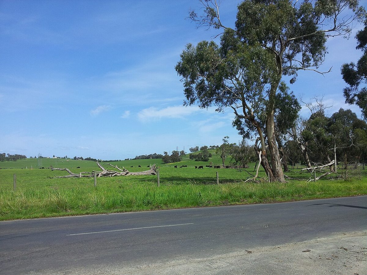 Spring in the Toomuc Valley, Pakenham